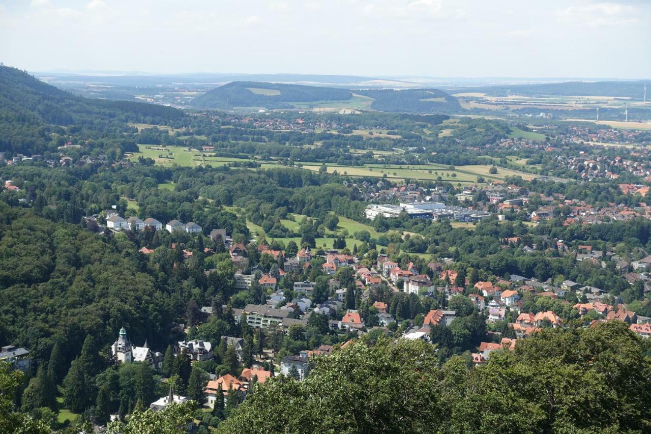 Ferienwohnung Ohanna Bad Harzburg Ngoại thất bức ảnh